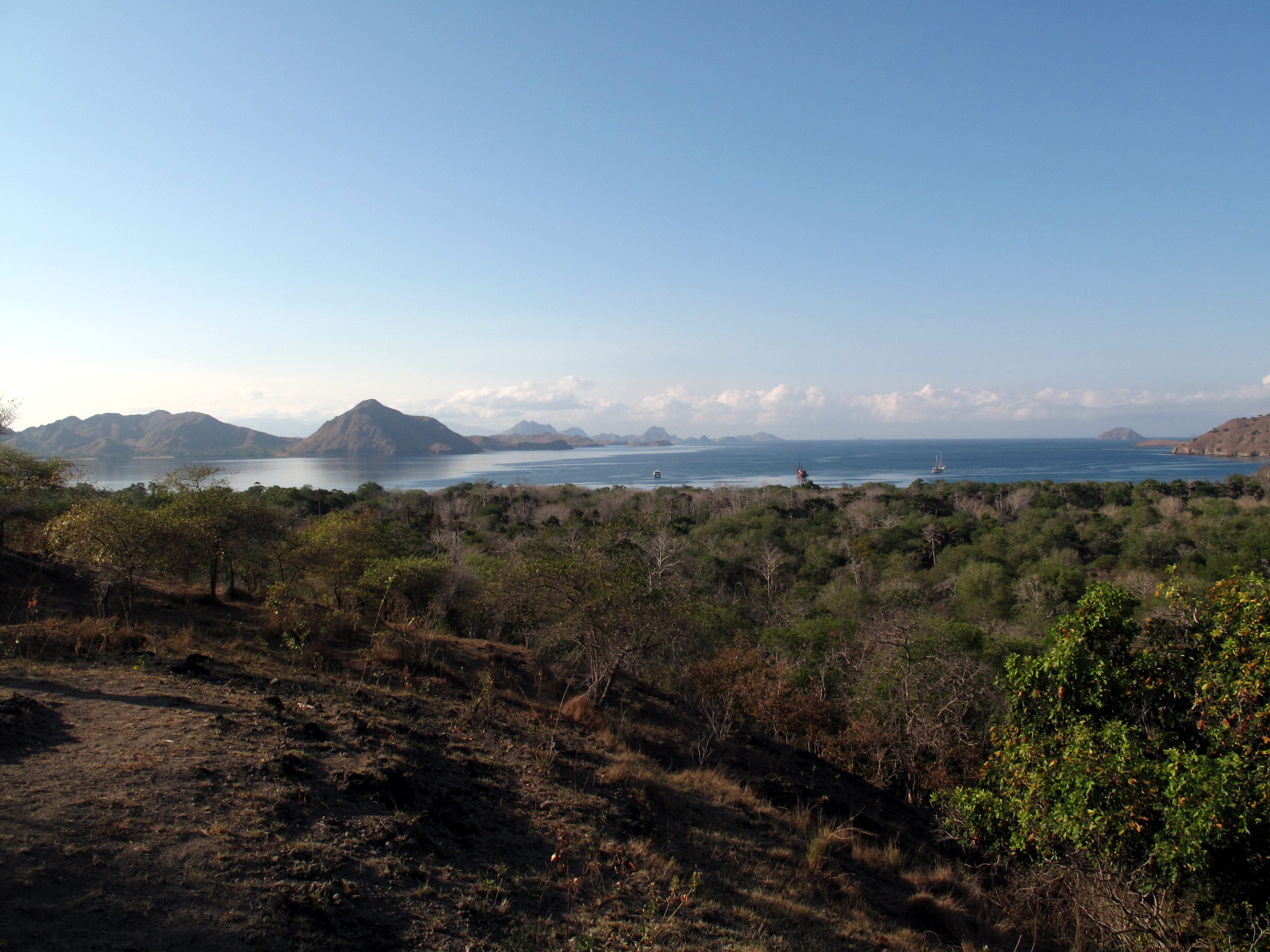 View from Komodo